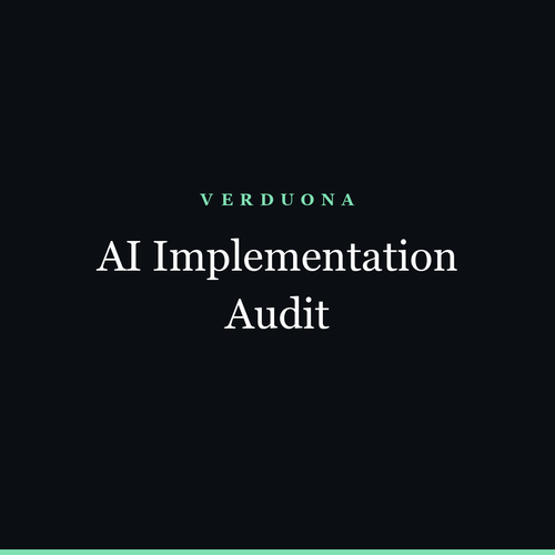 AI Implementation Audit