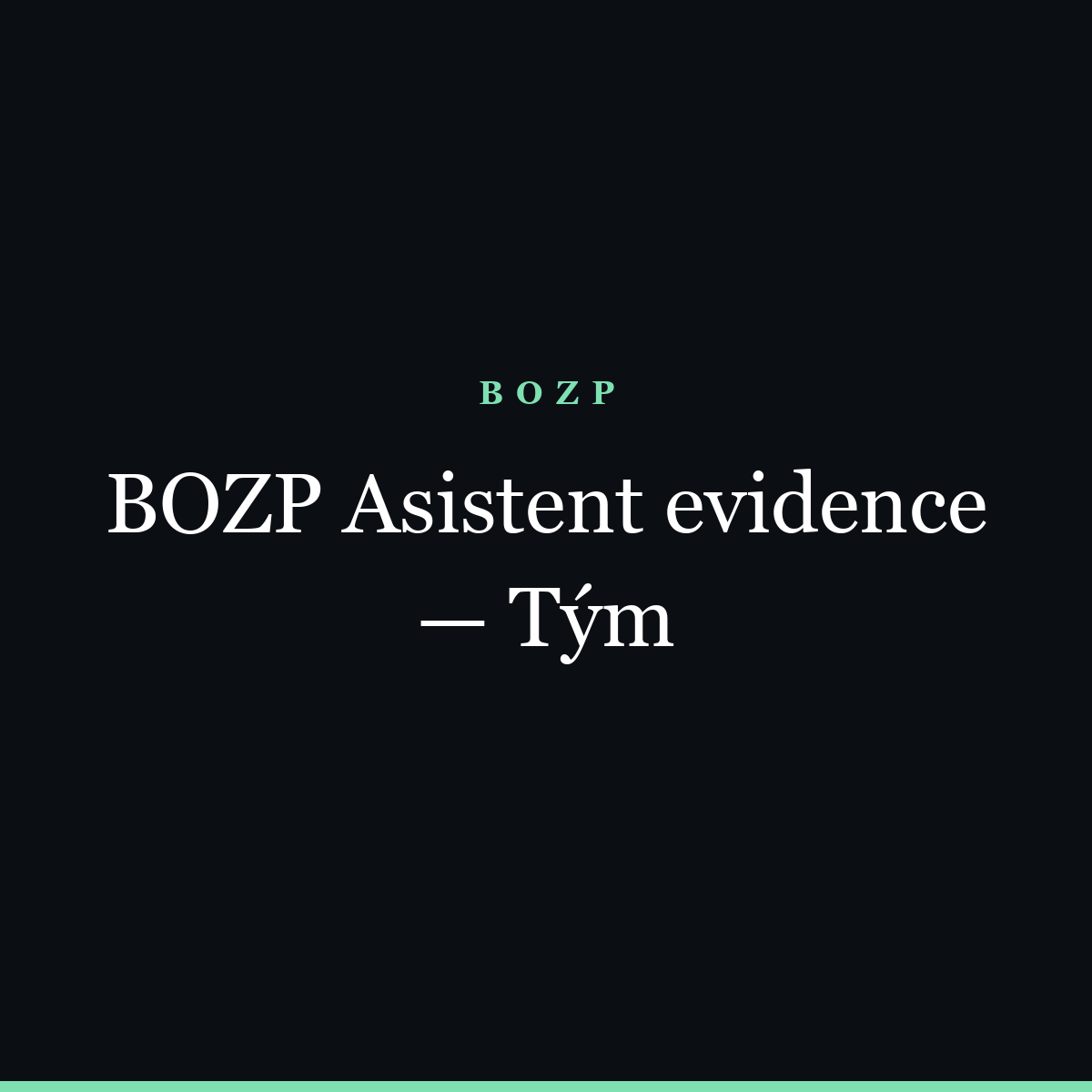 BOZP Asistent Records — Team