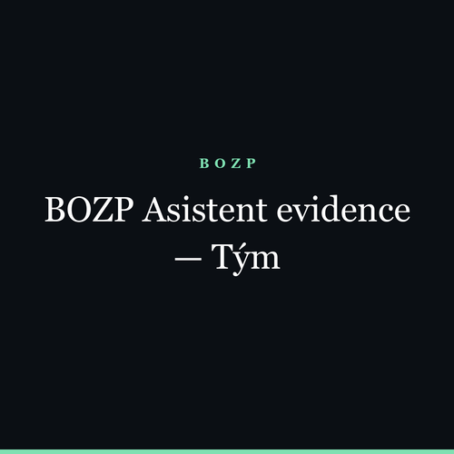 BOZP Asistent Records — Team